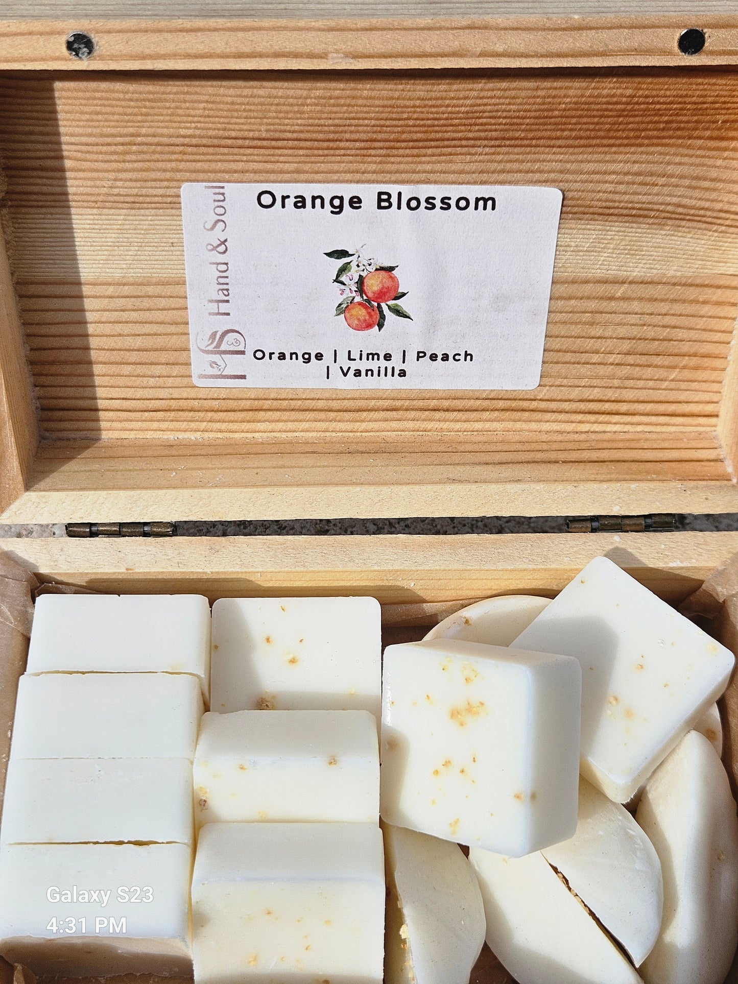 Fill Me Up Cup Wax Melts